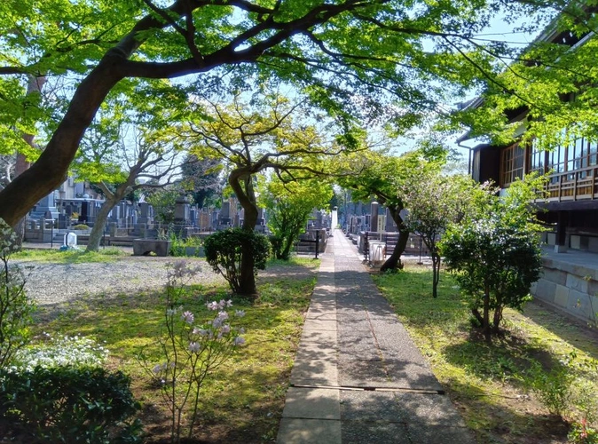 妙高寺 