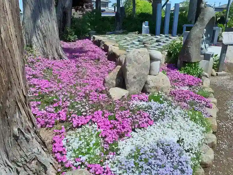 メモリーガーデンあじさいの杜霊園 樹木葬墓「安楽」 花々