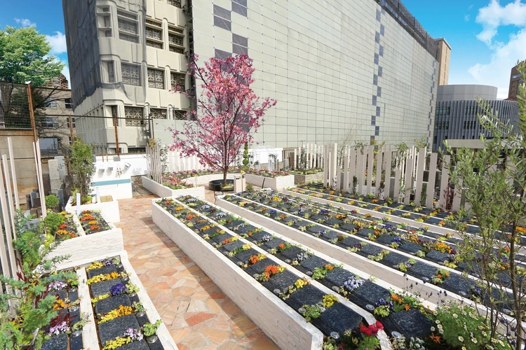 渋谷区 庭園型樹木葬「瑠璃の光」