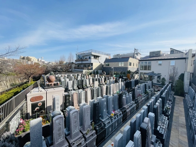 墓地全景