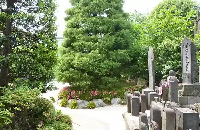 横浜市鶴見区 寿徳寺墓苑