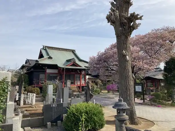 明るい雰囲気の寺院墓地