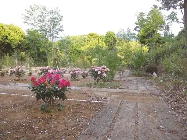 君津市 市原南霊園　樹木葬霊園