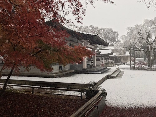 心源院 のうこつぼ 