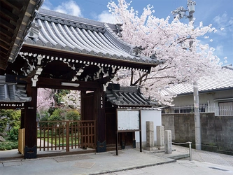 アクセスしやすい寺院墓地