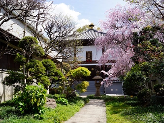 緑豊かな善龍寺墓地（史跡 口縄坂）