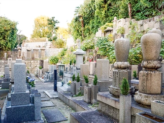 歴史ある善龍寺が管理する墓地