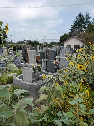 延寿の郷霊園 墓地とひまわり
