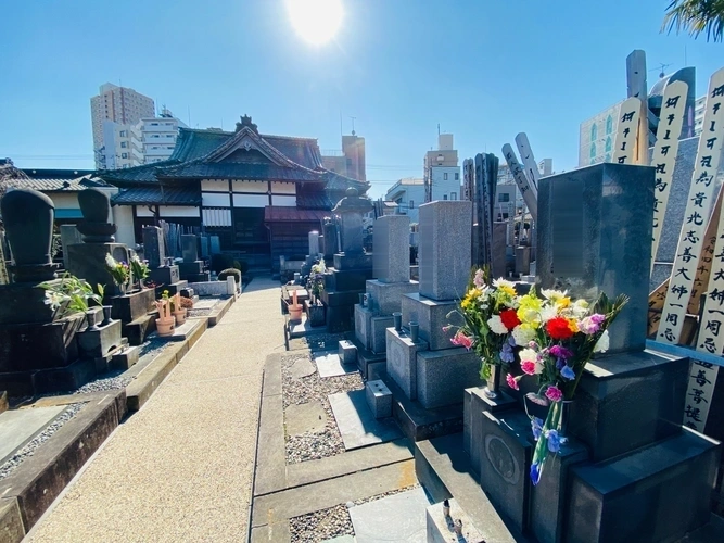 豊島区 盛雲寺