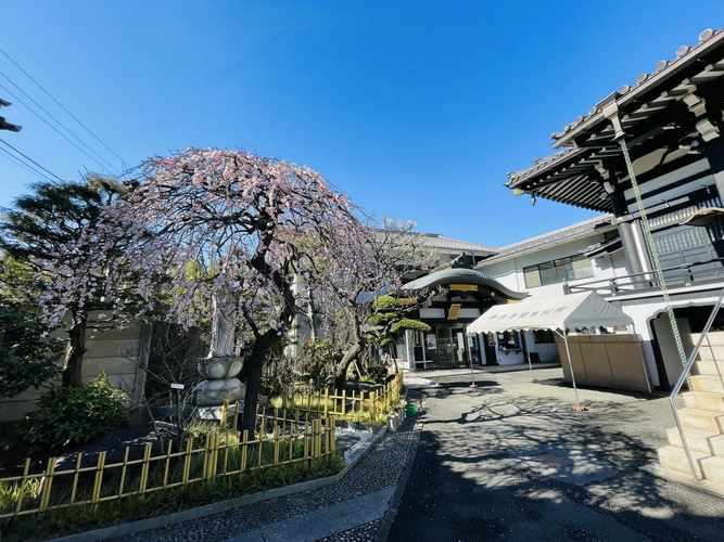 専修寺 関東別院　永代供養墓・納骨堂 境内