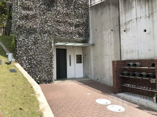 水汲み場