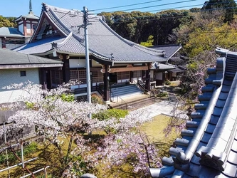 日当たり良し、風通し良し