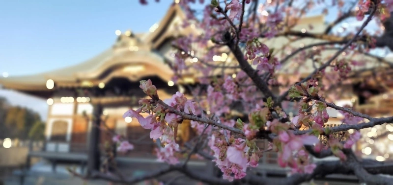 法栄寺 敷地内風景