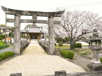 明るく開放的な寺院墓地