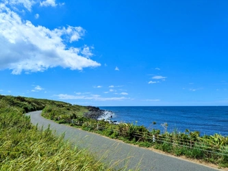 広島湾を望む絶景のロケーション