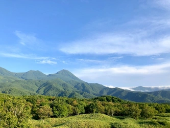 自然豊かな環境に包まれる墓地