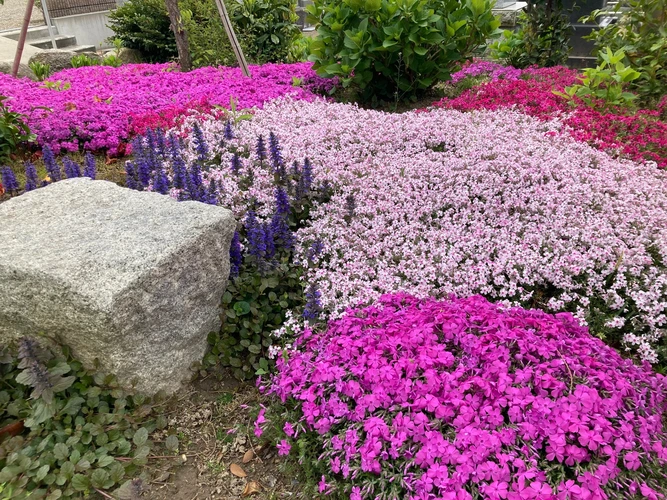 樹木想 〜福照〜 