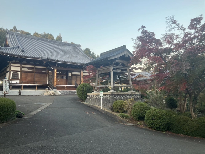 樹木葬霊園 マイメモリーいずみ 