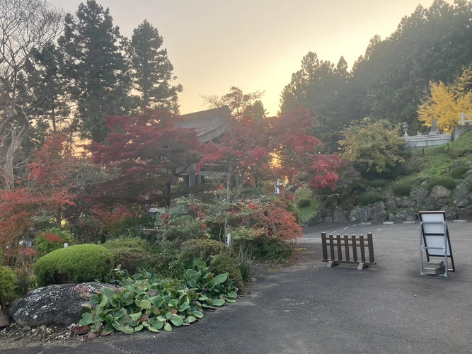 樹木葬霊園 マイメモリーいずみ 