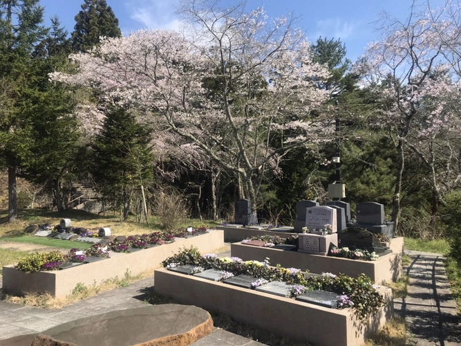  樹木葬霊園 マイメモリーいずみ