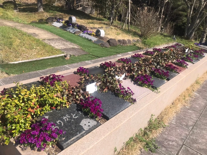 樹木葬霊園 マイメモリーいずみ 