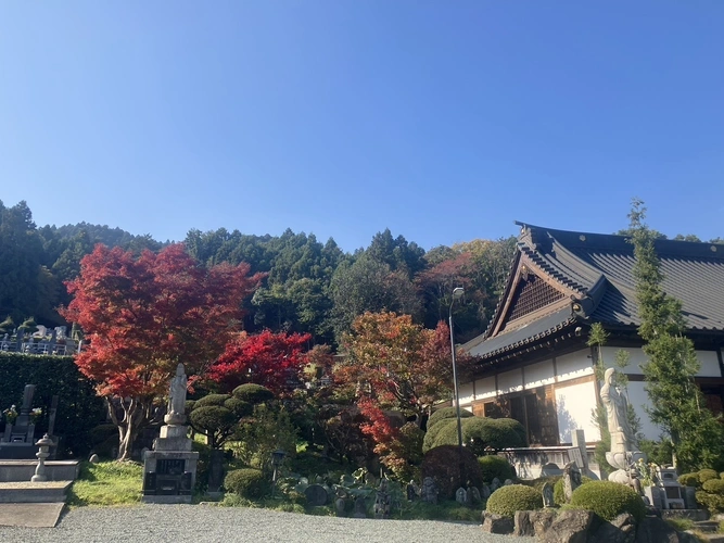 樹木葬霊園 マイメモリーなとり 