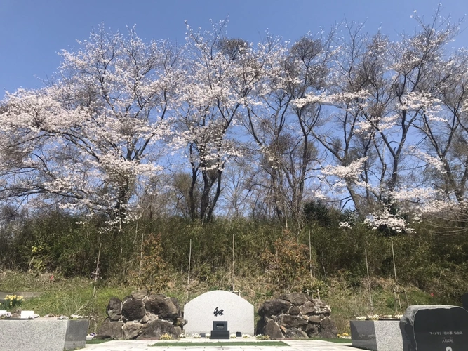 それ以外の宮城県の市 樹木葬霊園 マイメモリー仙台北 ～大和の杜～