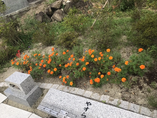 樹木葬霊園 マイメモリー仙台北 ～大和の杜～ 