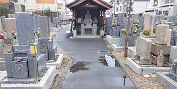 平坦な参道