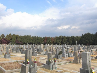 陽当たりが良好な寺院墓地