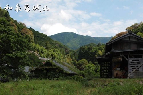 安福寺 永代供養合同墓 