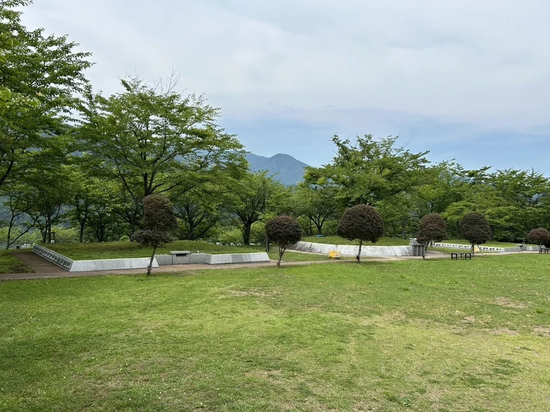 初夏