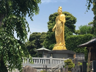 緑に包まれた歴史を感じられるお寺