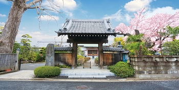 庭園と季節の花々が美しい花の寺