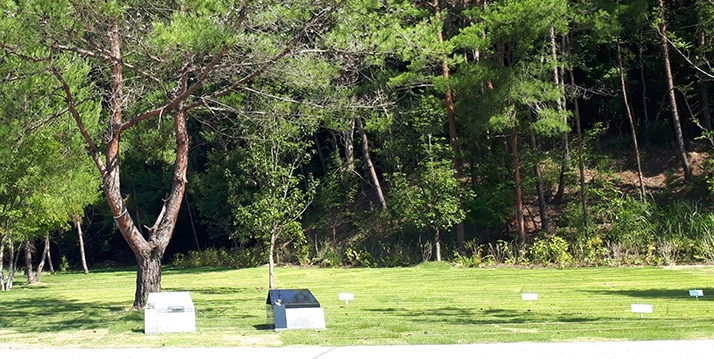 明治の森霊園  樹木葬・永代供養墓 永代供養付き 大型樹木葬「追憶の小径」