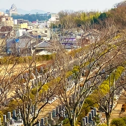 緑豊かな正明寺墓地