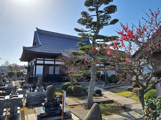 鶴岡市 萬福寺 のうこつぼ