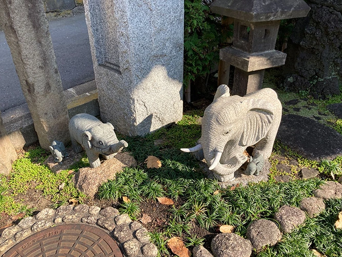 慈眼寺 のうこつぼ 