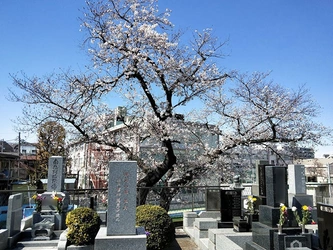 都の旧跡に指定されたお寺