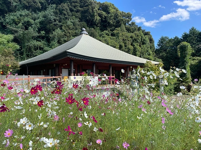 佐世保市 御橋観音寺 のうこつぼ