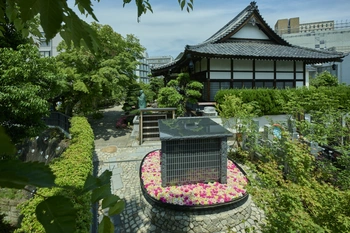 四季折々の花々