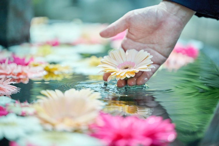 お花を浮かべてお参り。