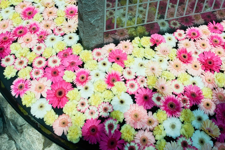 いつでもお花のある明るいお墓です。