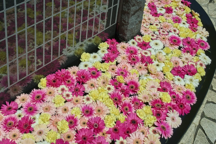 豊島区 早稲田　樹木葬　想咲手水