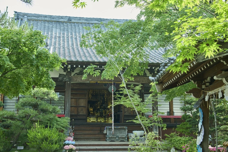 豊島区 早稲田　樹木葬　想咲手水