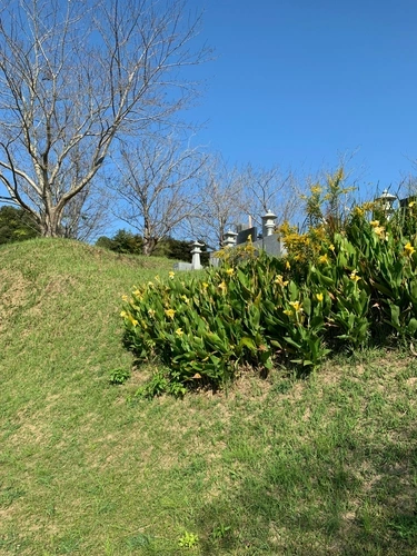 香取市 大聖寺