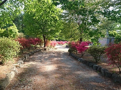 佐久市 西軽井沢 向原霊園