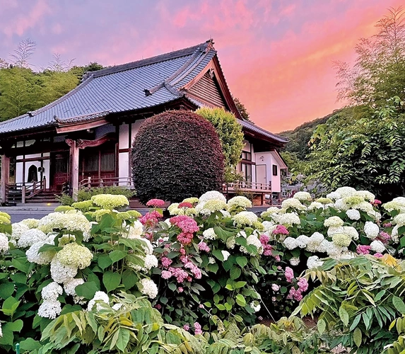 心花の里樹木葬墓地 