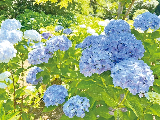 心花の里樹木葬墓地 