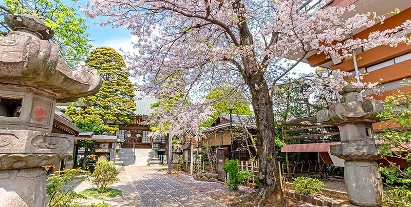 徳蔵寺 永代供養墓・樹木葬 